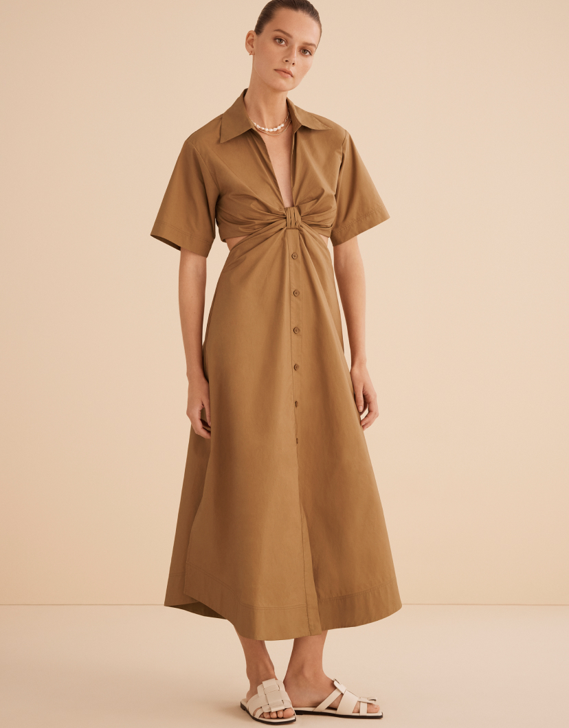 Seed Hero carousel banner