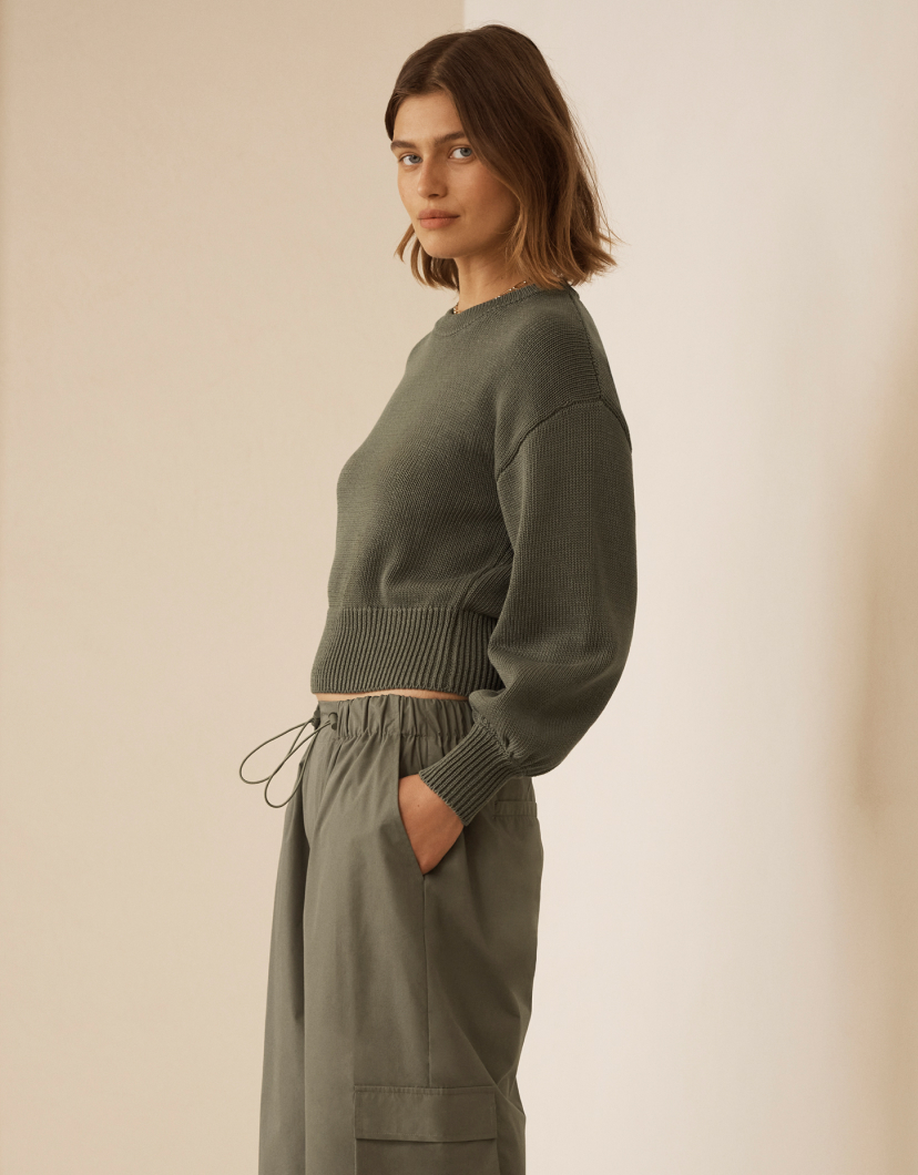 Seed Hero carousel banner