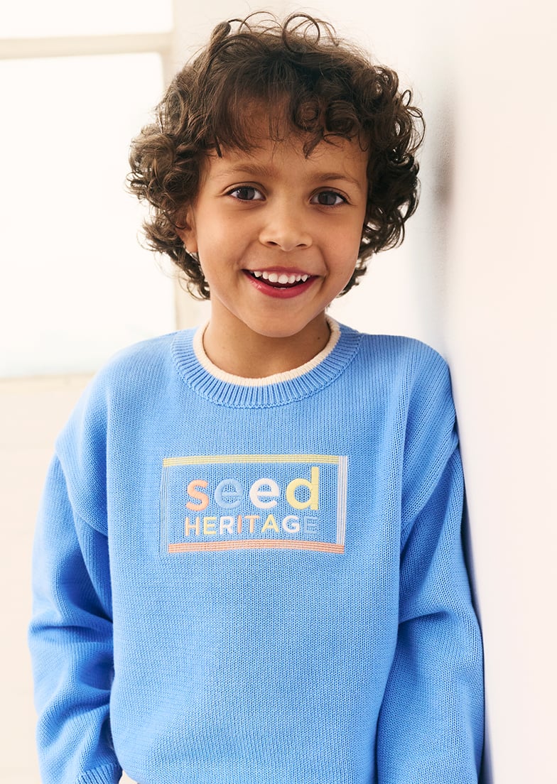Seed Hero carousel banner