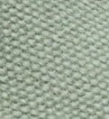 Dusty Cactus