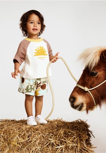 Seed Hero carousel banner