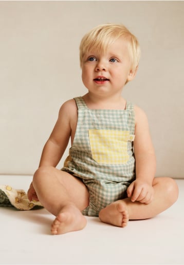 Seed Hero carousel banner