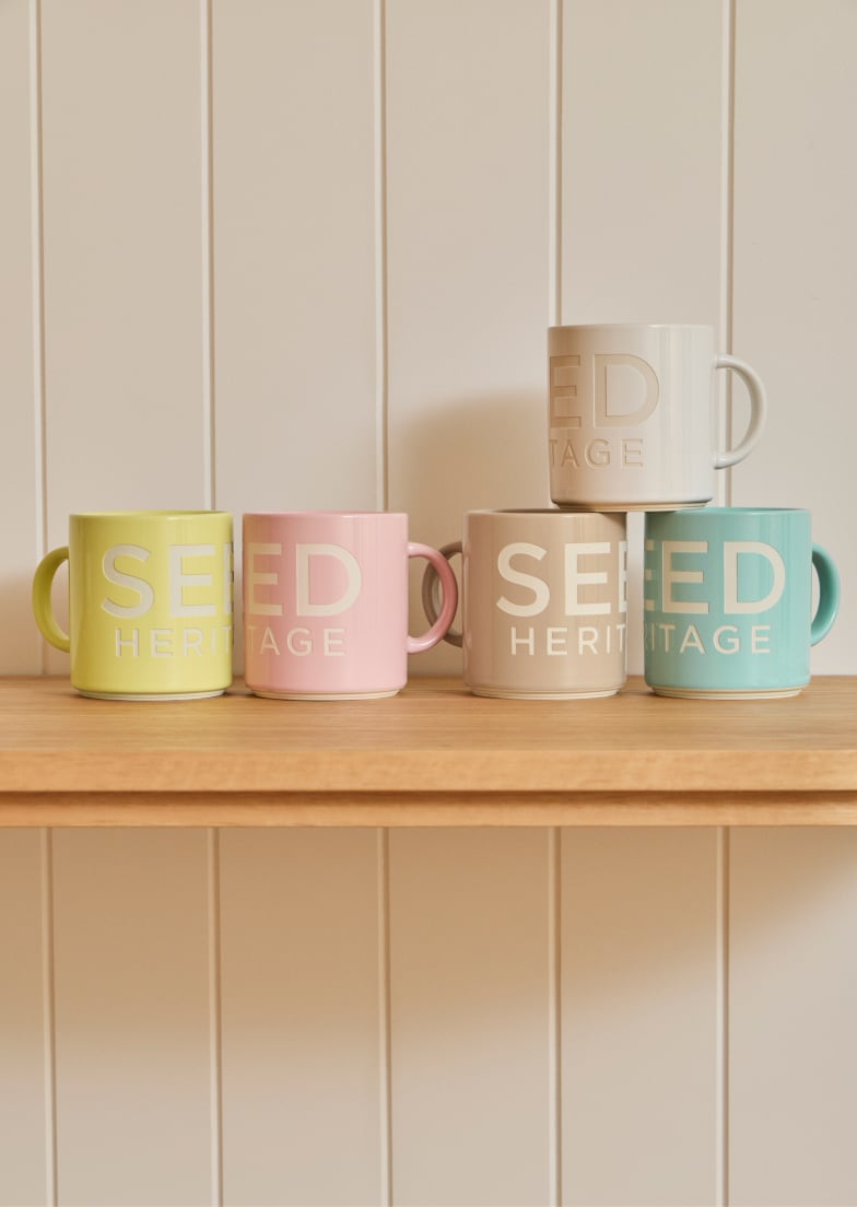 Seed Hero carousel banner