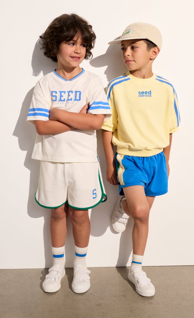 Seed Hero carousel banner