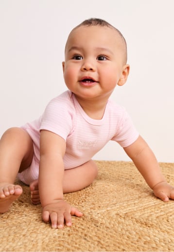 Seed Hero carousel banner