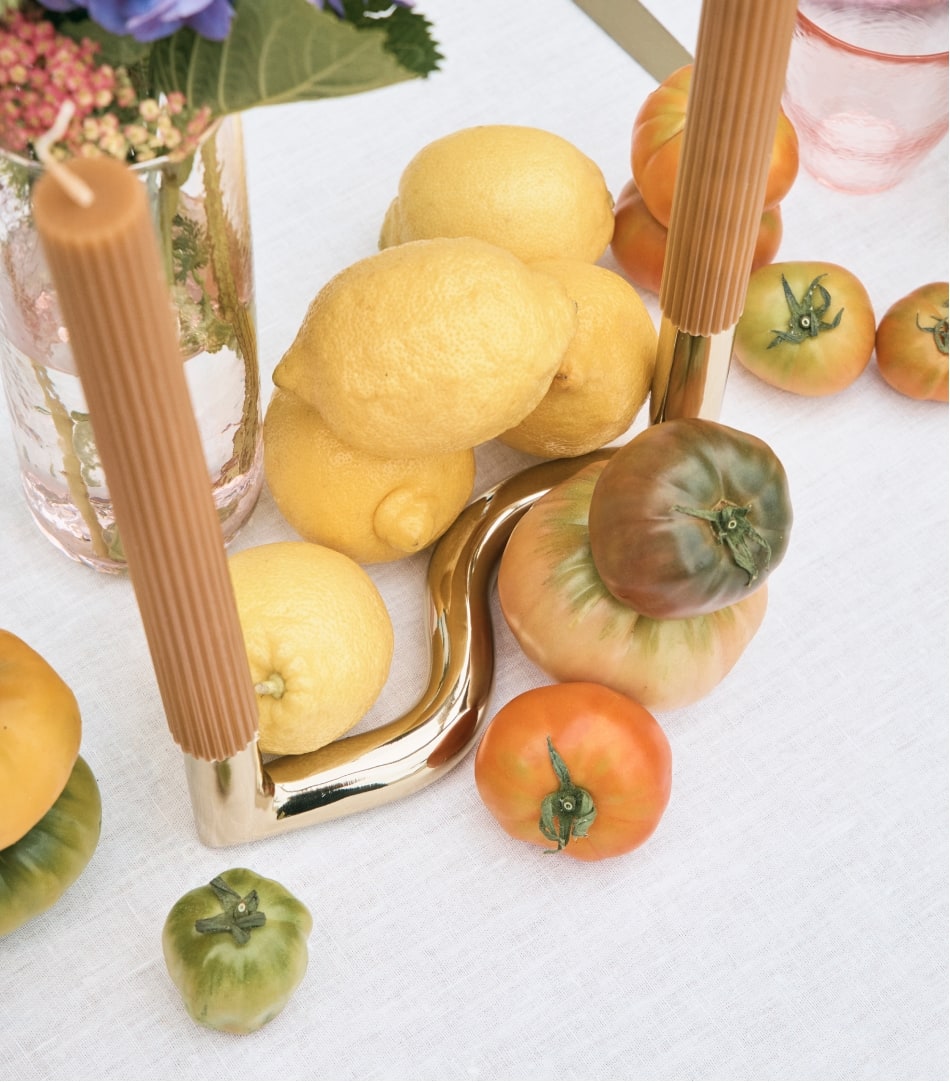 seed heritage x Jenna Holmes