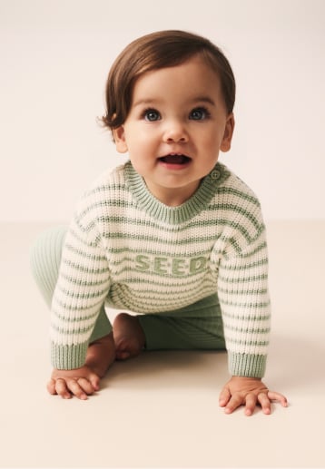 Seed Hero carousel banner