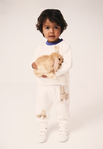 Seed Hero carousel banner