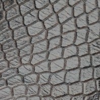 Coffee Bean Snake Print