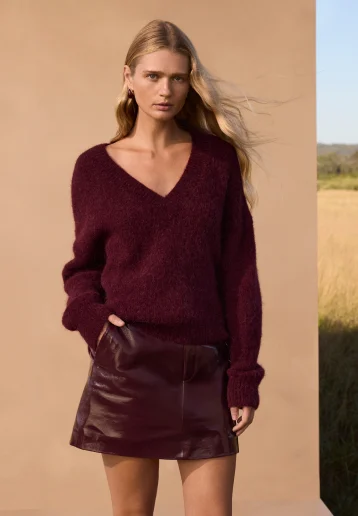 Seed Hero carousel banner