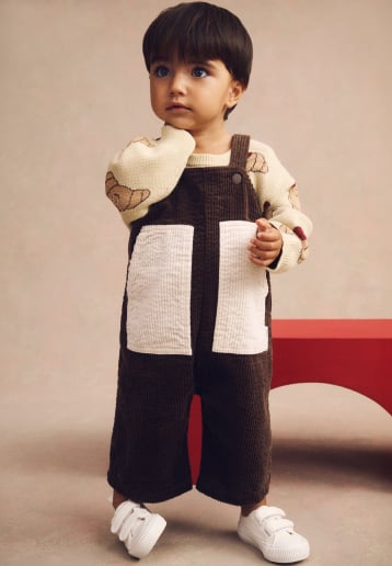 Seed Hero carousel banner