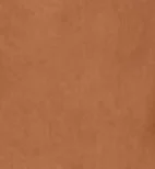 Toffee Suede