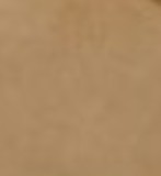 Sandstone Suede
