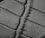 Black Croc