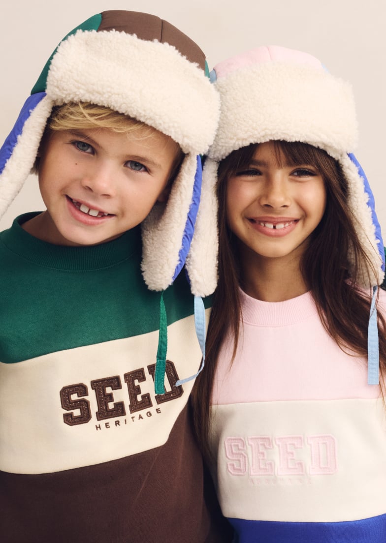 Seed Hero carousel banner
