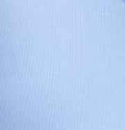 Cornflower Blue
