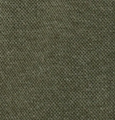 Olive Multi