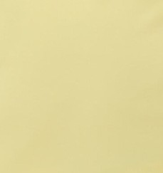 Canary Yellow