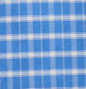 Blue Haven Check