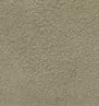 Caper Suede