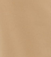 Autumn Leaf