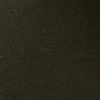 Dark Fern