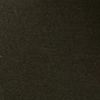 Dark Fern