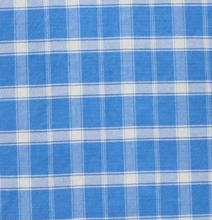 Blue Haven Check