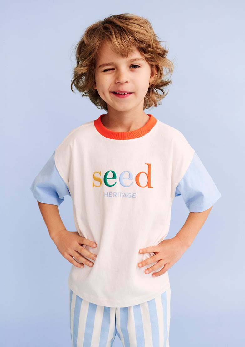 Seed Hero carousel banner