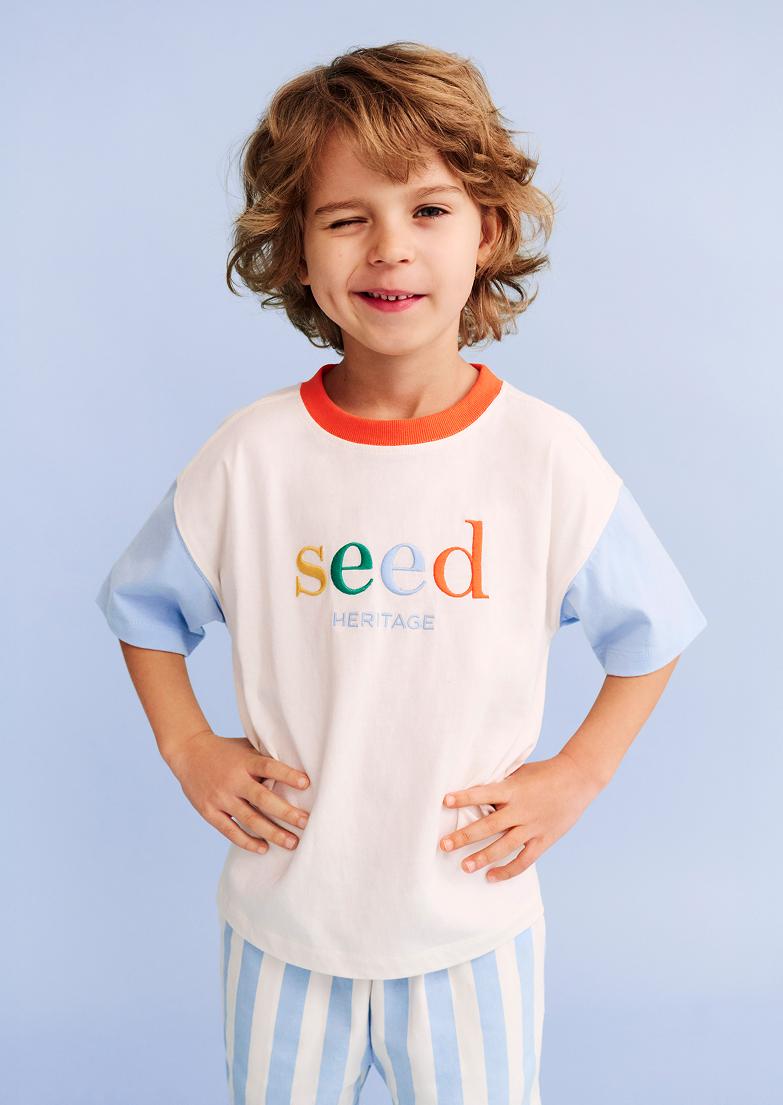 Seed Hero carousel banner