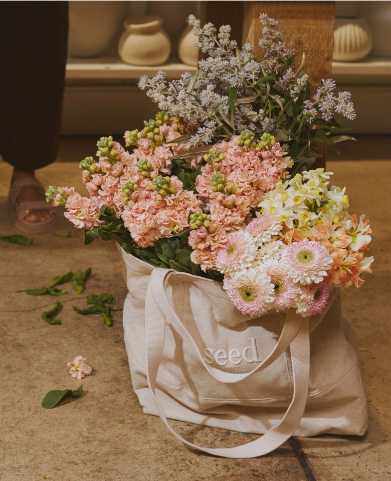 seed heritage x myra perez