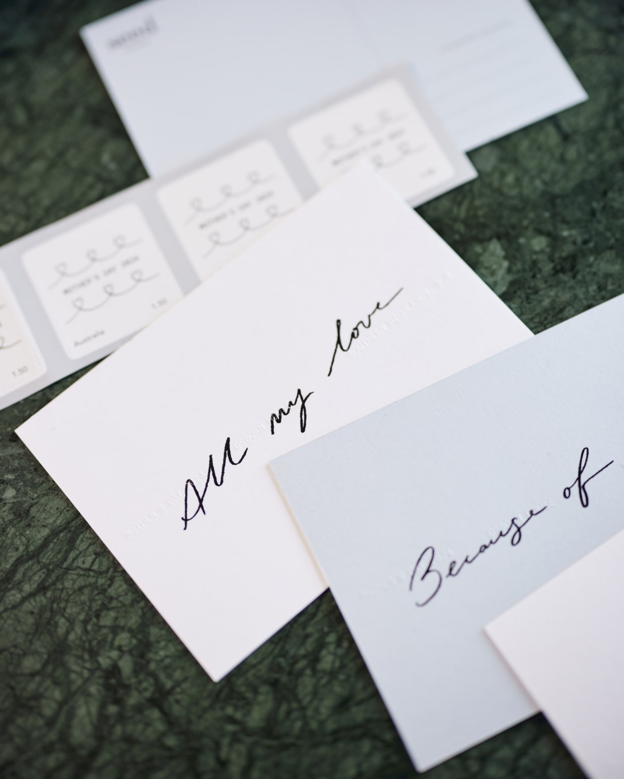 seed heritage x Jasmine Dowling