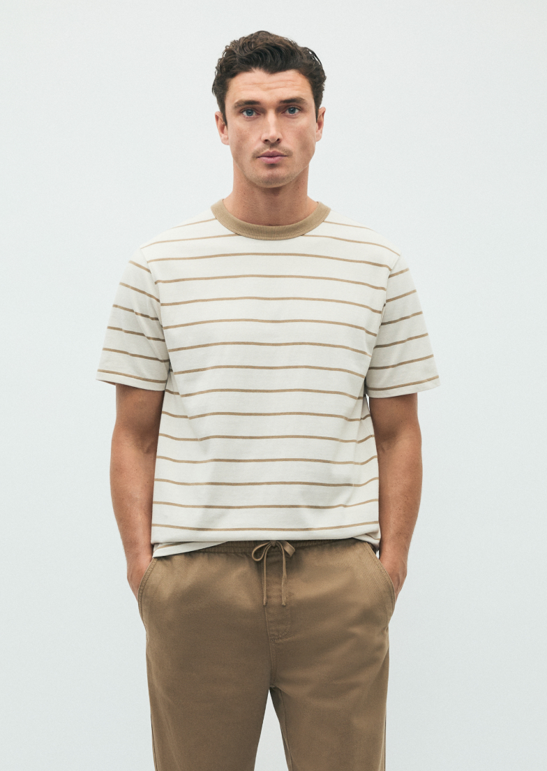 Seed Hero carousel banner