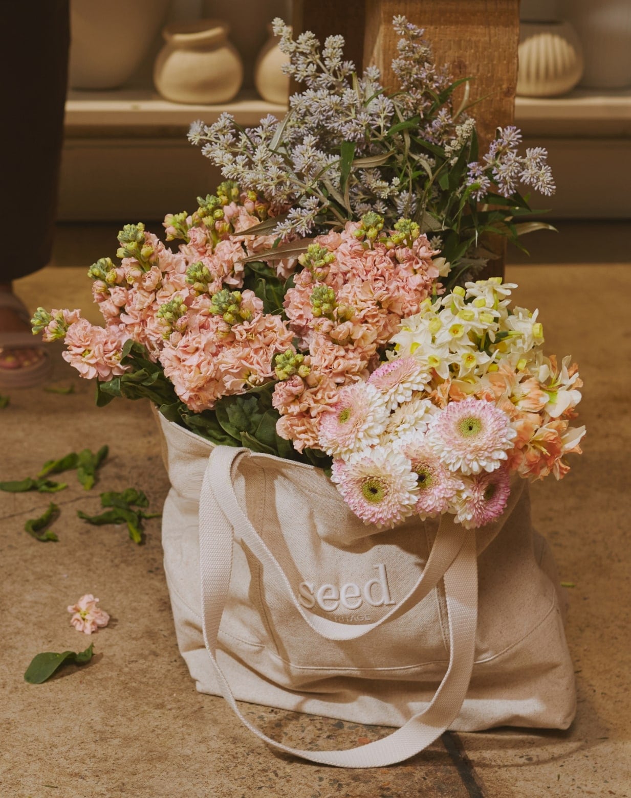 seed heritage x myra perez