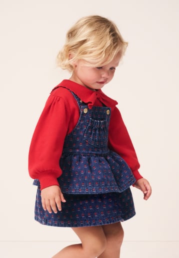 Seed Hero carousel banner