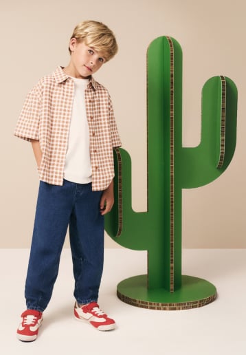 Seed Hero carousel banner