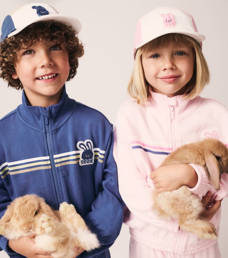 Seed Hero carousel banner