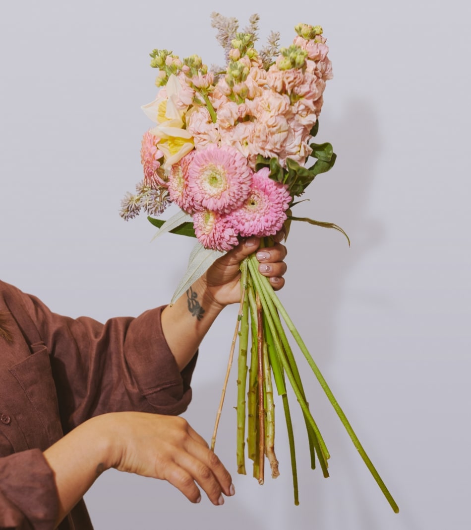 seed heritage x myra perez