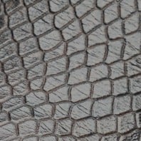 Coffee Bean Snake Print