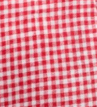 Electric Crimson Gingham