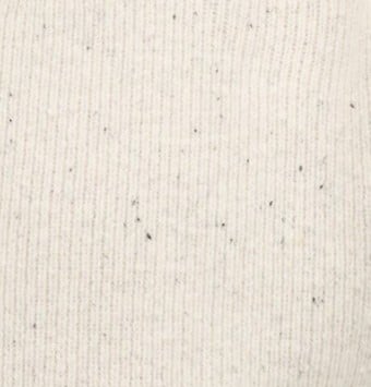 Mist Speckle