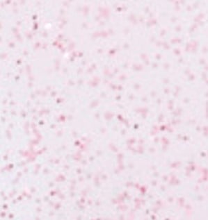 Pink Glitter