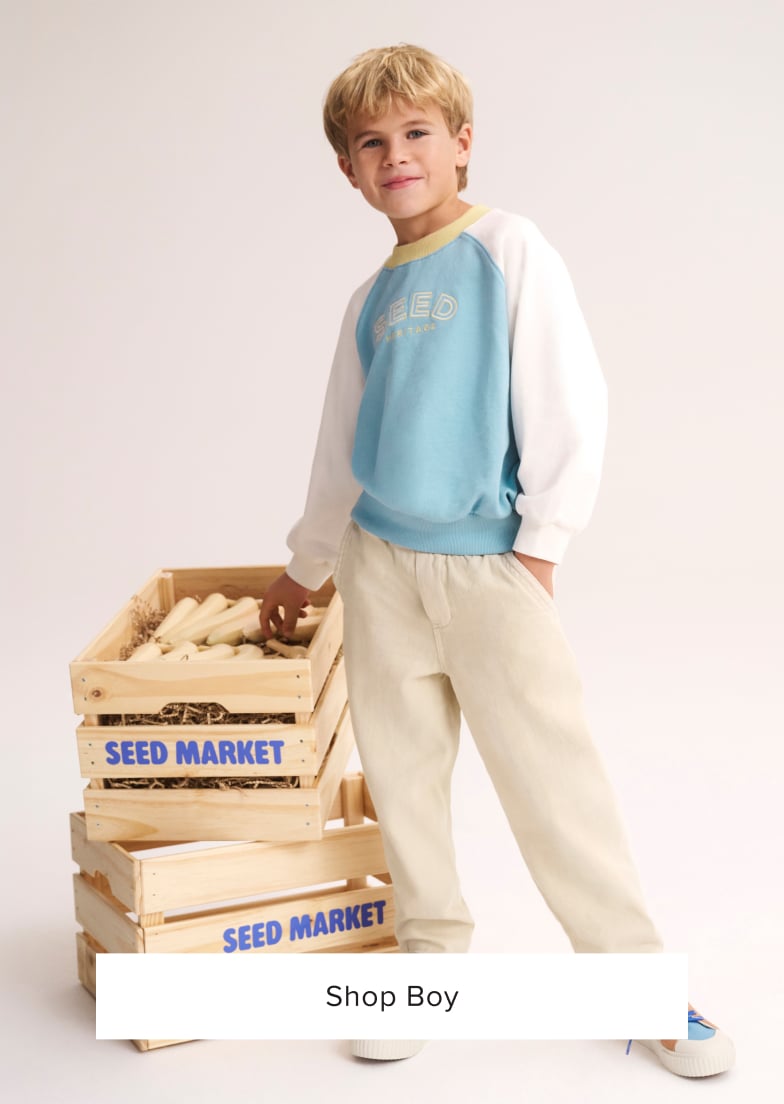 Seed Hero carousel banner