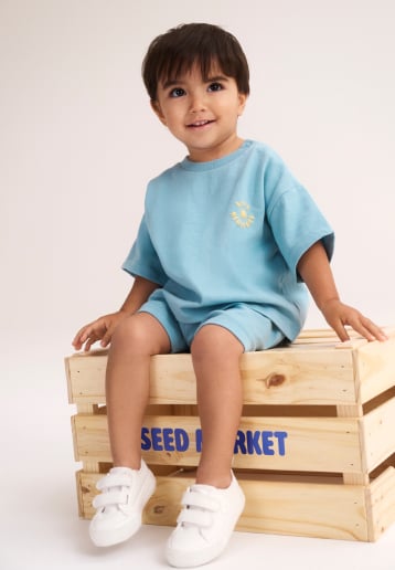 Seed Hero carousel banner