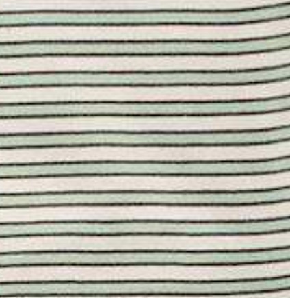 Aloe Stripe