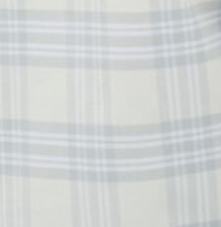 Pale Slate Check