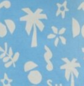 Graphic Print