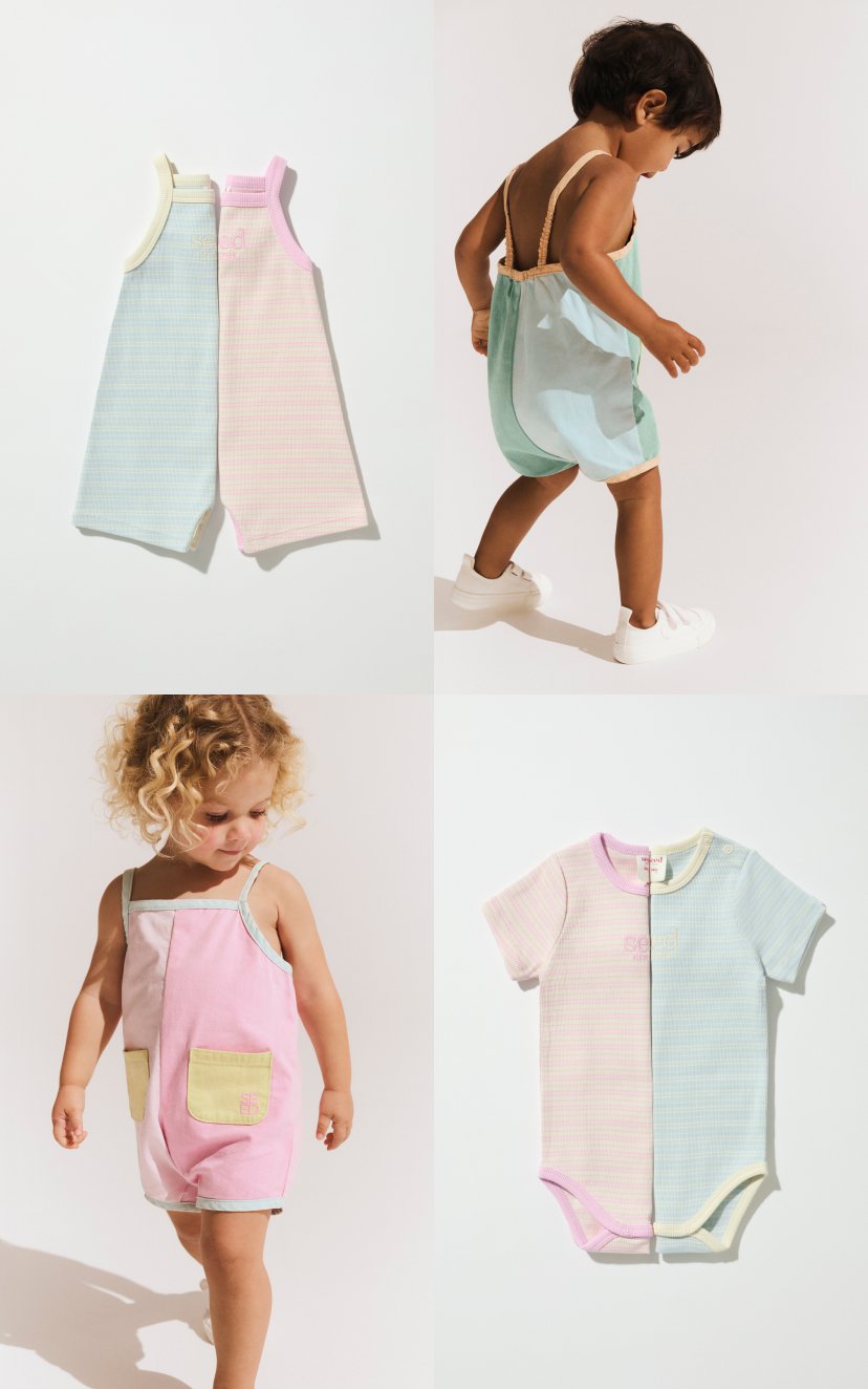 Seed Hero carousel banner